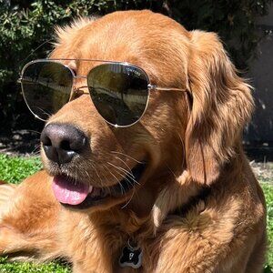 Welcome to the J+O Co.